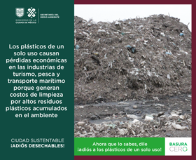 Los plásticos de un solo uso causa pérdidas económicas