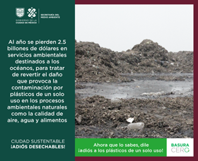 Al año se pierden 2.5 billones de dólares