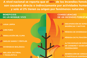 Incendios forestales