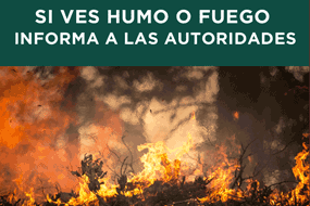 Incendios forestales