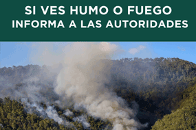 Incendios forestales