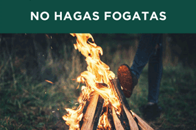 Incendios forestales