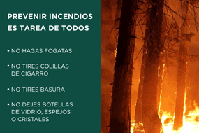 Incendios forestales