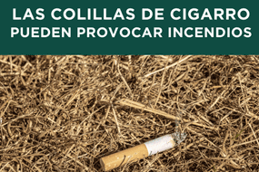 Incendios forestales