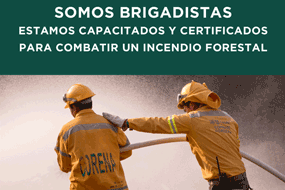 Incendios forestales