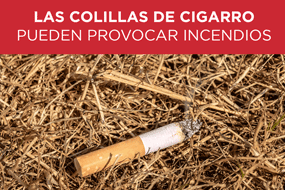 Incendios forestales