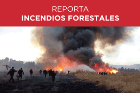 Incendios forestales