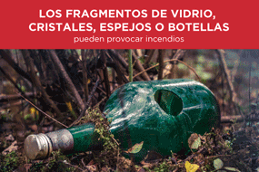 Incendios forestales