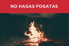 Incendios forestales