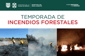 Incendios forestales