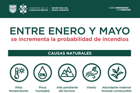 Incendios forestales