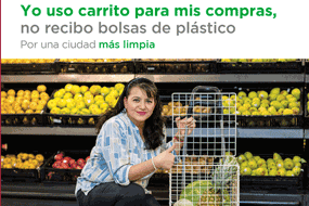 Prohibición a las bolsas de plástico de un solo uso