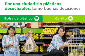 Prohibición a las bolsas de plástico de un solo uso