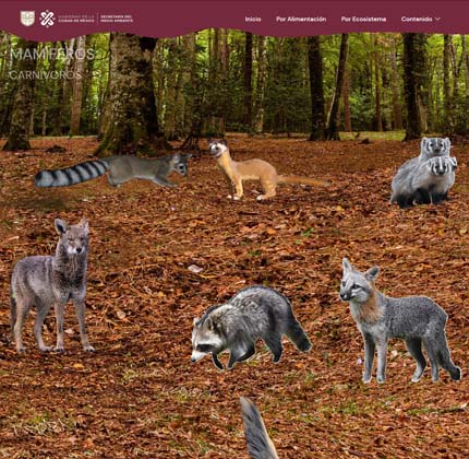 mamiferos