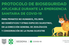 Protocolo de bioseguridad