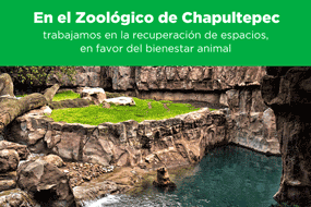 Zoológico de Chapultepec