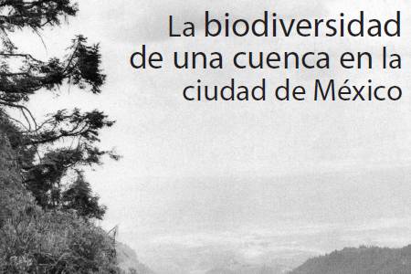 La biodiversidad de una cuenca en la Ciudad de Mexico