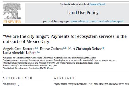 We are the city lungs