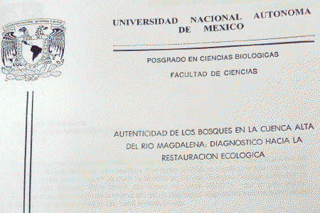 Autemtificación de losBosques en la Cuenca Alta del Río Magdalena