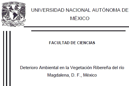 Deterioro Ambiental en la Vegetación Ribereña de Río Magdalena