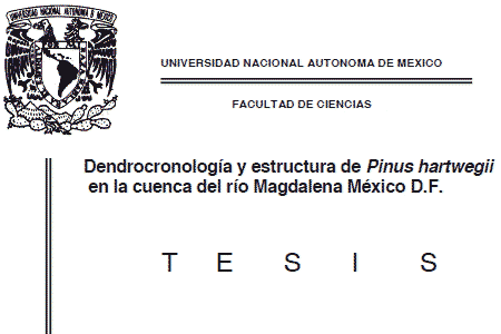 Dendrocronología y estructura de Pinus hasrtwegii en la cuenca del RM