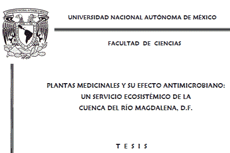 Planta Medicinales y su efecto antimicrobiano