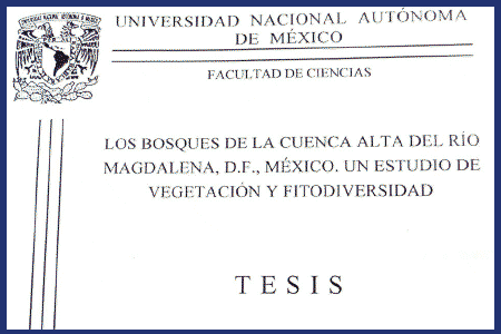 Los Bosques de la cuenca alta del Río Magdalena