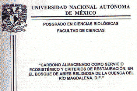 Carbono almacenado como servicio ecosistémico y criterios de restauración