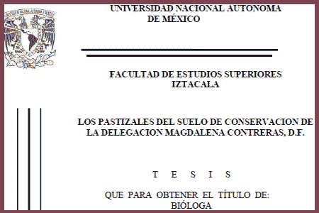 Los Pastizales del Suelo de Conservación de la Magdalena Contreras