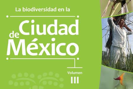 Servicios ecosistémicos en la cuenca del rio Magdalema